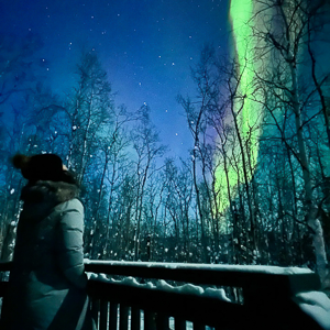 A fully remodeled, historic trapper cabin, a 30 minute drive north of Fairbanks. A true Alaskan experience! Watch the Auroras from the front porch or cabin yard.