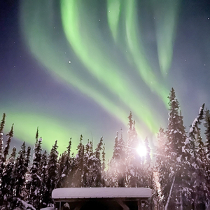 Aurora Moose Cottage offers a cozy retreat in the heart of the Alaskan wilderness. Experience the mesmerizing aurora borealis from the comfort of the living room.